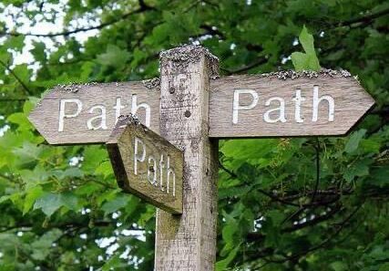 Which path to take?